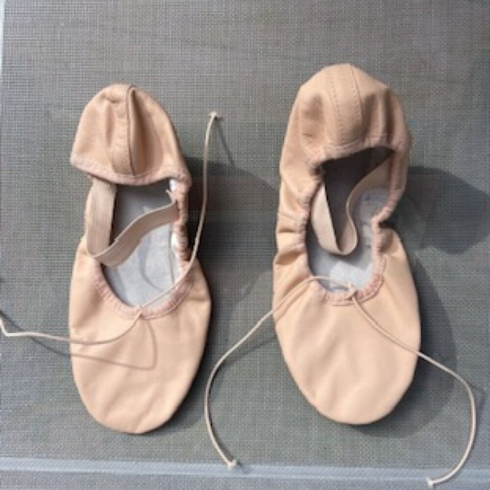 BLOCH Pink Leather Ballet Shoes New